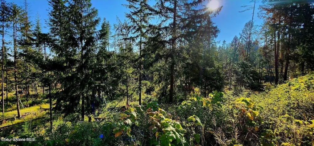 1530 Dusty Lane St. Maries, ID 83861