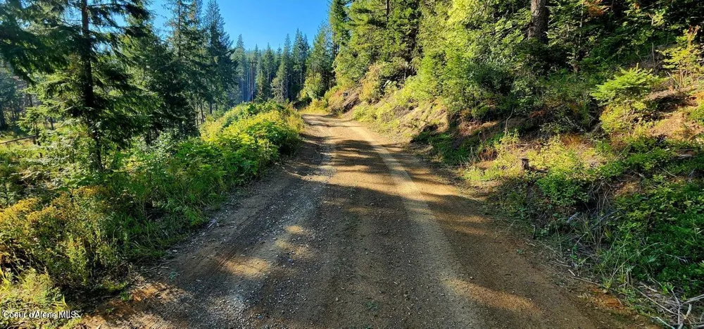 1530 Dusty Lane St. Maries, ID 83861