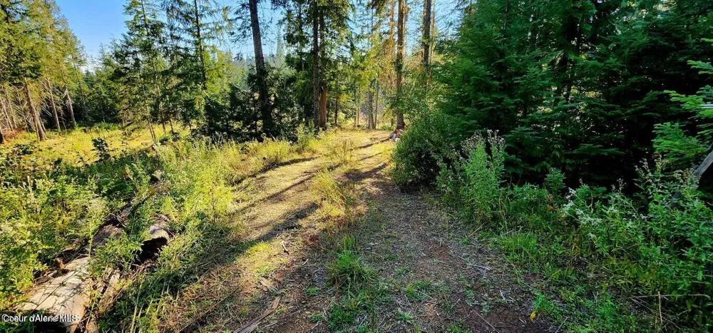 1530 Dusty Lane St. Maries, ID 83861