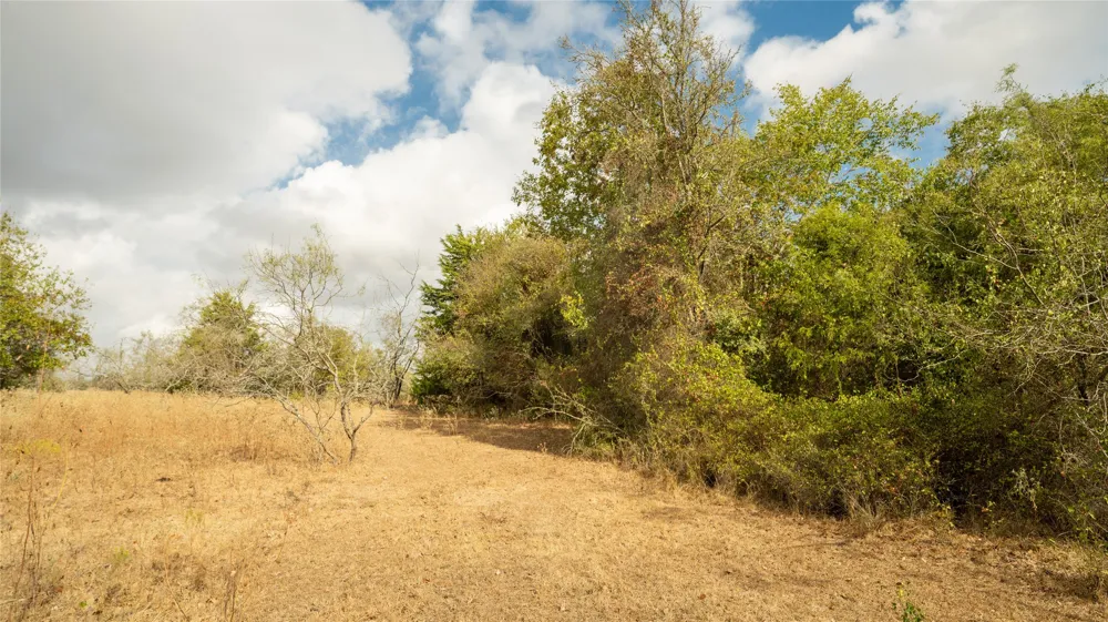 2054 County Road 334 Rockdale, TX 76567