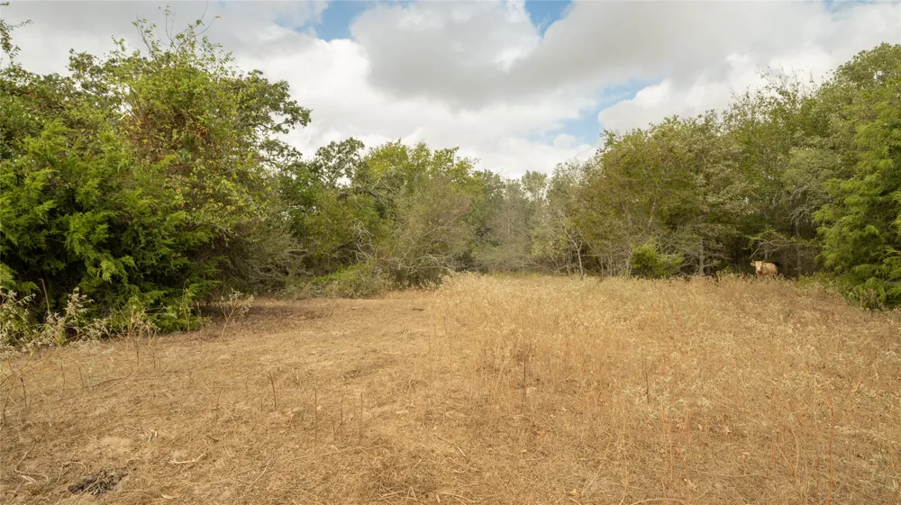 2054 County Road 334 Rockdale, TX 76567
