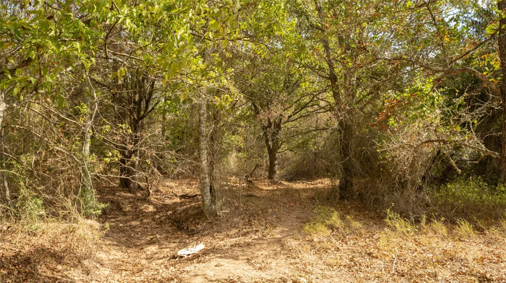 2054 County Road 334 Rockdale, TX 76567