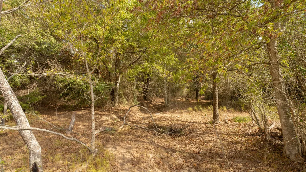 2054 County Road 334 Rockdale, TX 76567