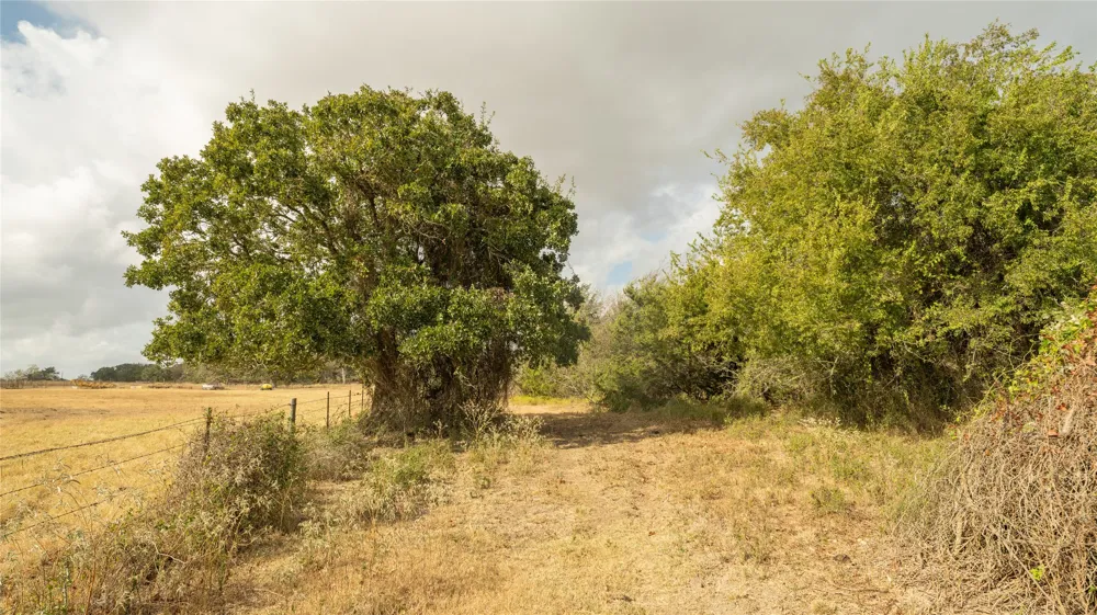 2054 County Road 334 Rockdale, TX 76567