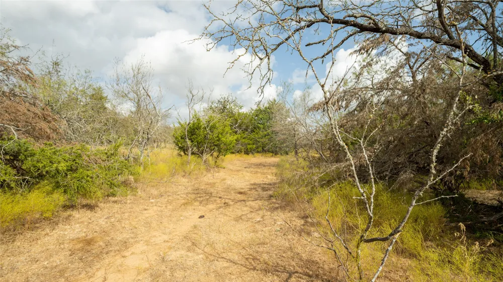 2054 County Road 334 Rockdale, TX 76567
