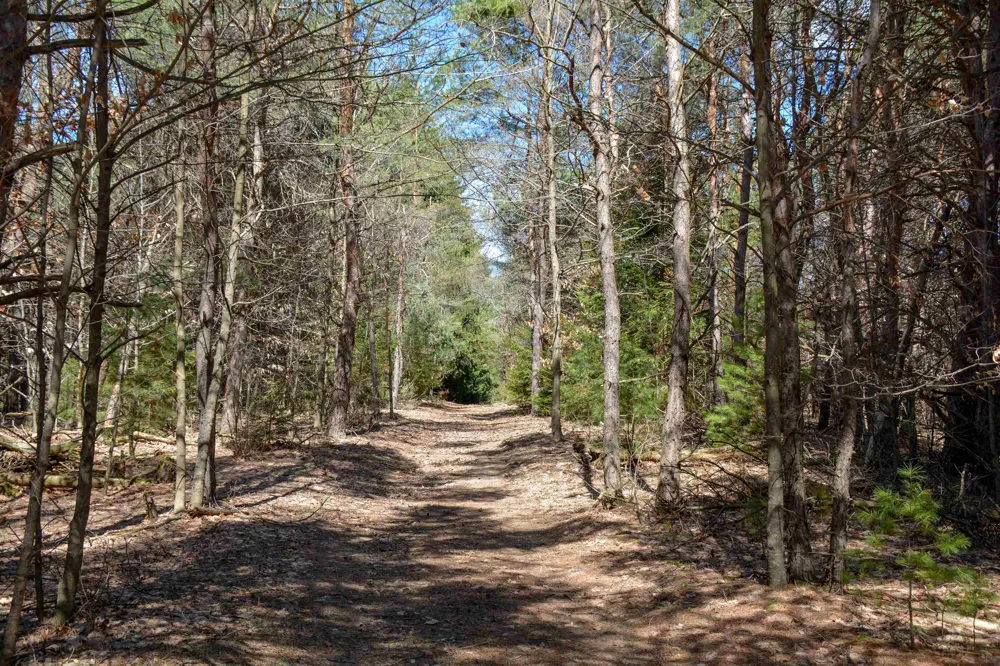 8616 Cedar Run Road Long Lake Township, MI 49684