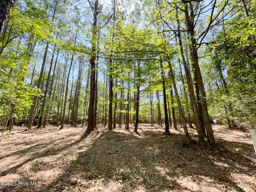 379 Mill Creek Drive Minnesott Beach, NC 28510
