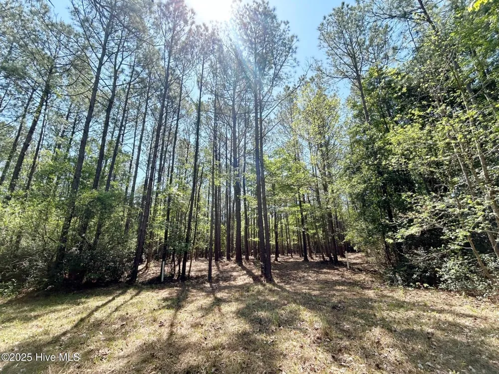 379 Mill Creek Drive Minnesott Beach, NC 28510