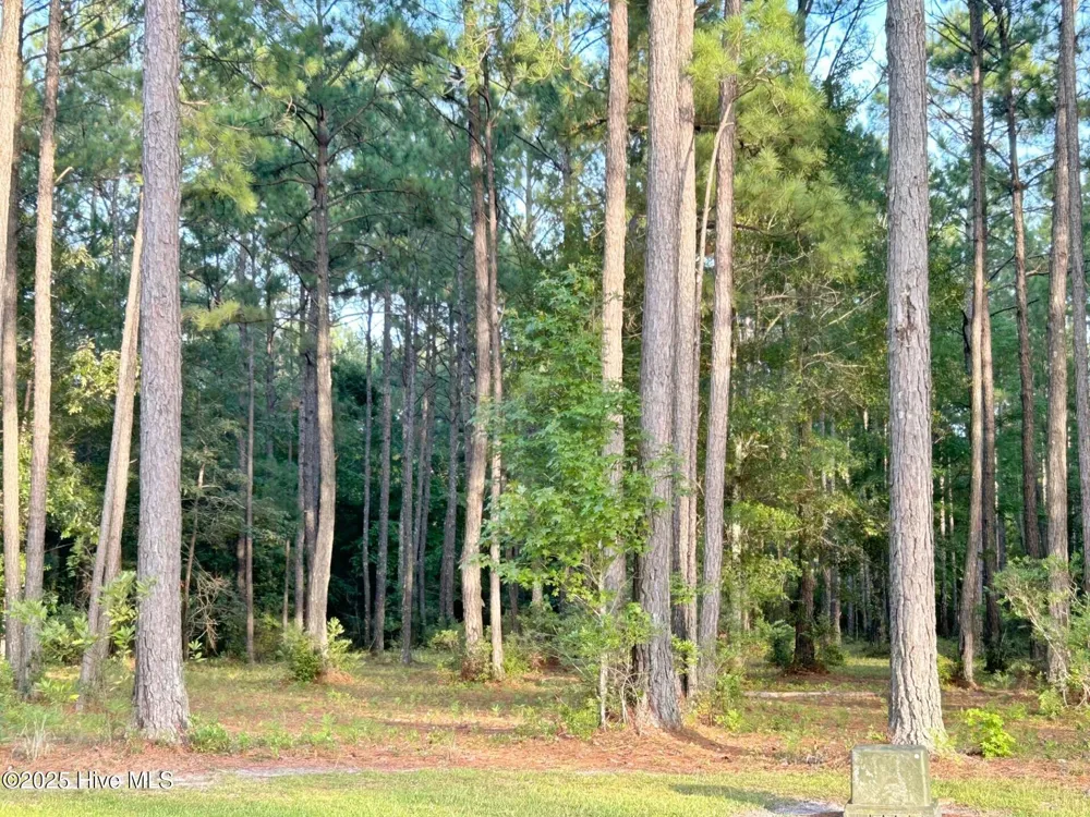 379 Mill Creek Drive Minnesott Beach, NC 28510