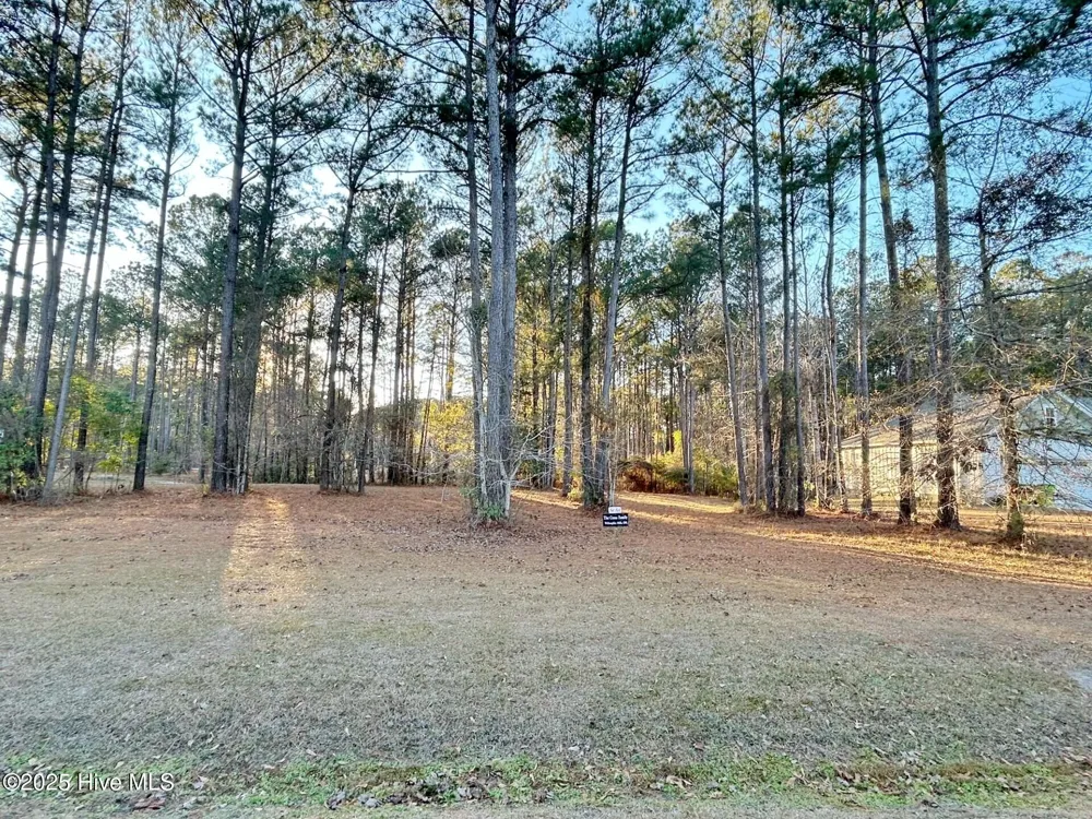 59 Chickory Lane Minnesott Beach, NC 28510