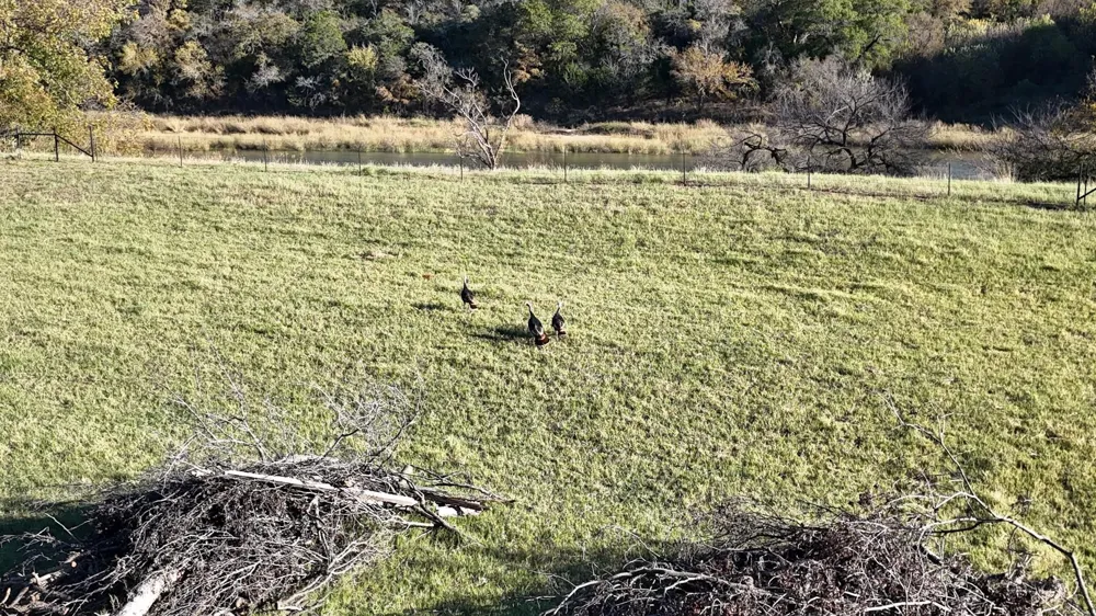 WOODED ACRES DRIVE Mineral Wells, TX 76067