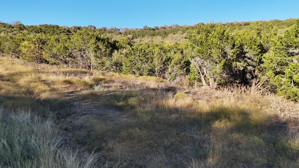 WOODED ACRES DRIVE Mineral Wells, TX 76067