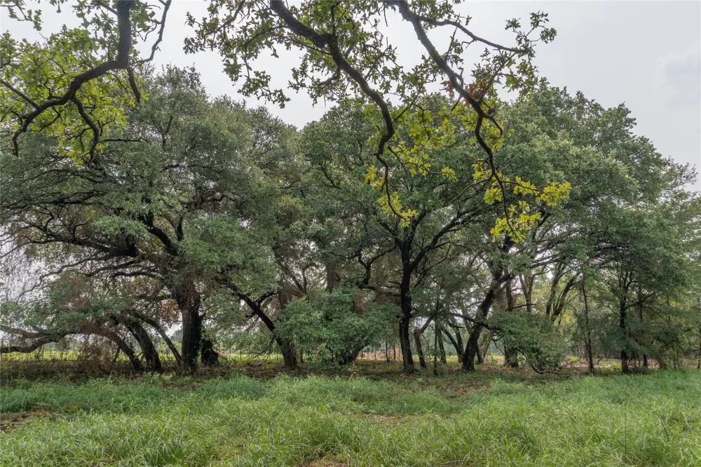 4750 Coleman Ranch Road Tolar, TX 76476
