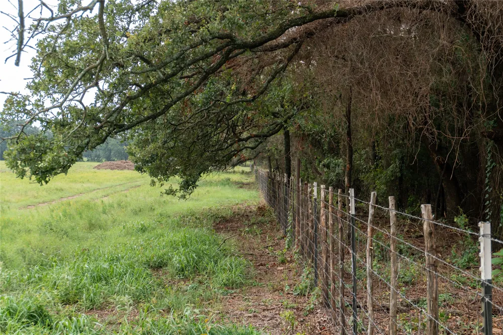 4750 Coleman Ranch Road Tolar, TX 76476