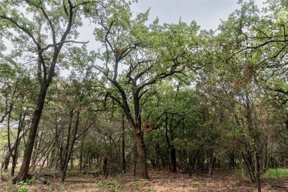 4750 Coleman Ranch Road Tolar, TX 76476