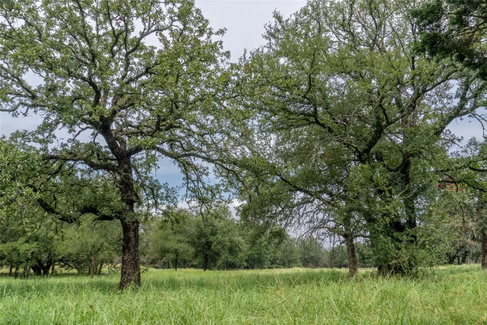 4750 Coleman Ranch Road Tolar, TX 76476