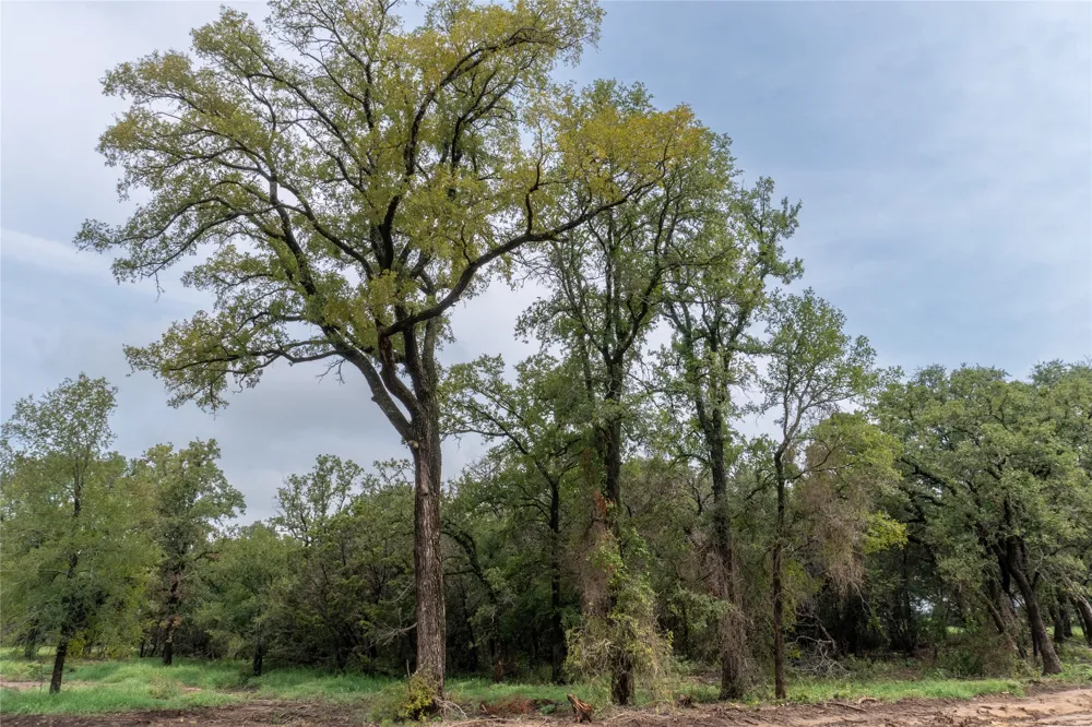 4750 Coleman Ranch Road Tolar, TX 76476