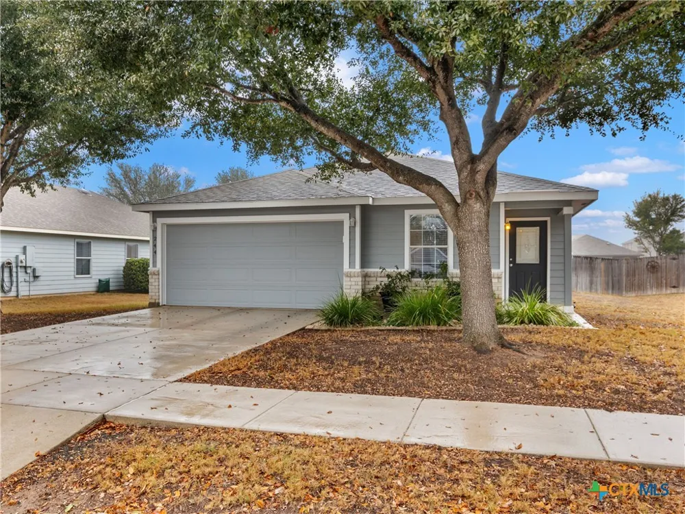 244 Cactus Patch Selma, TX 78154