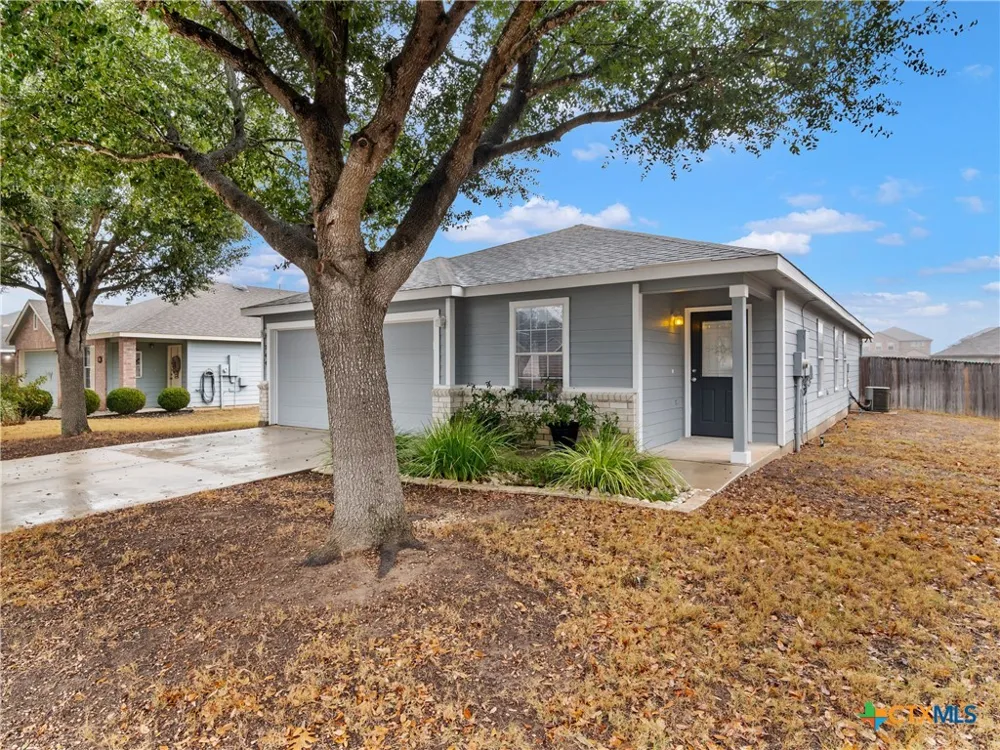 244 Cactus Patch Selma, TX 78154