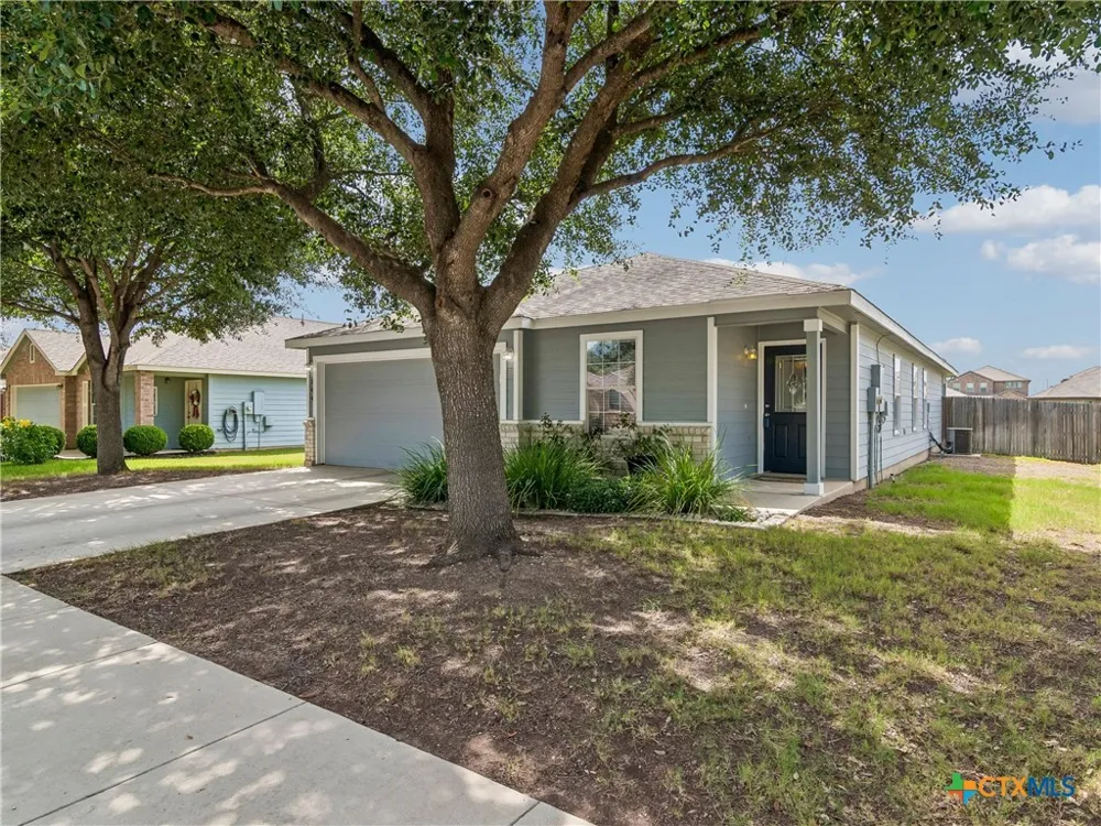 244 Cactus Patch Selma, TX 78154