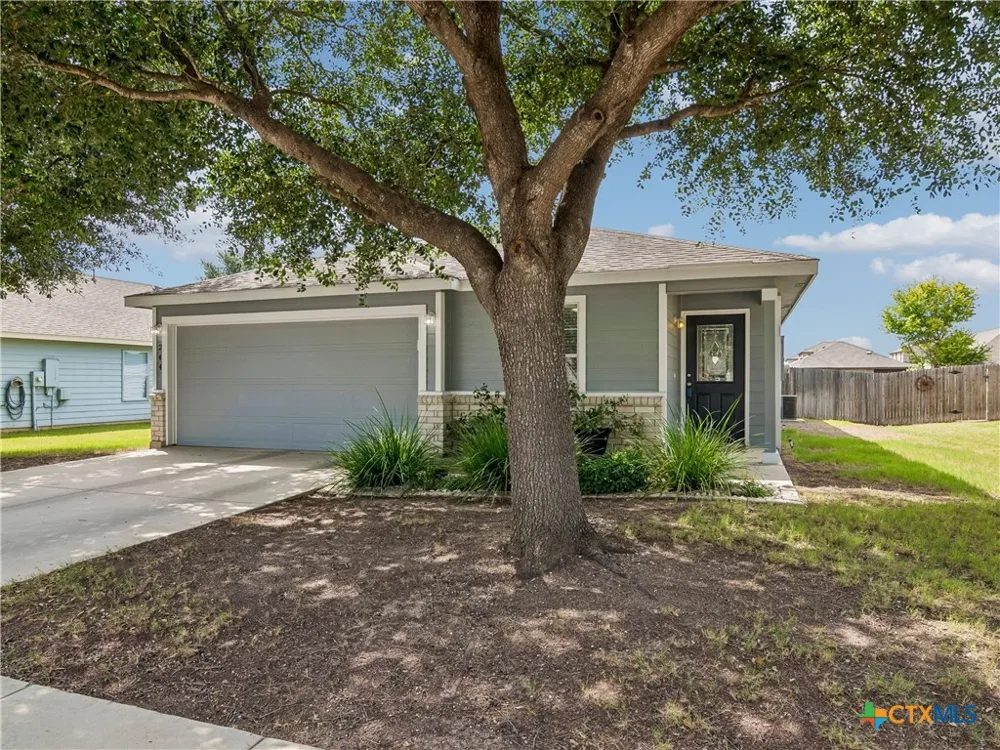 244 Cactus Patch Selma, TX 78154