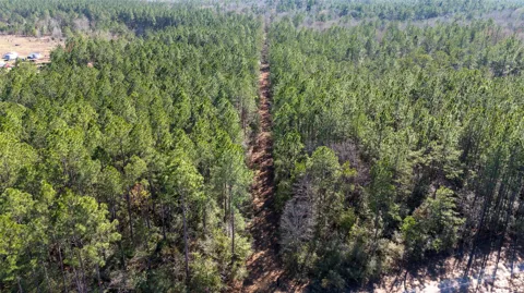 Whispering Pines Drive