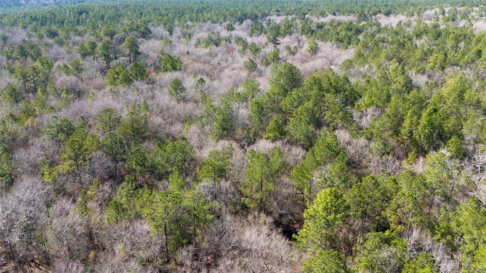 Whispering Pines Drive Lumberton, TX 77657