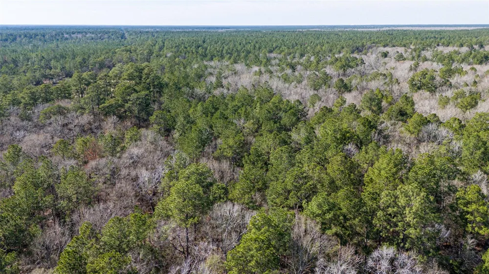 Whispering Pines Drive Lumberton, TX 77657