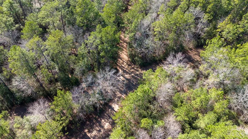 Whispering Pines Drive Lumberton, TX 77657