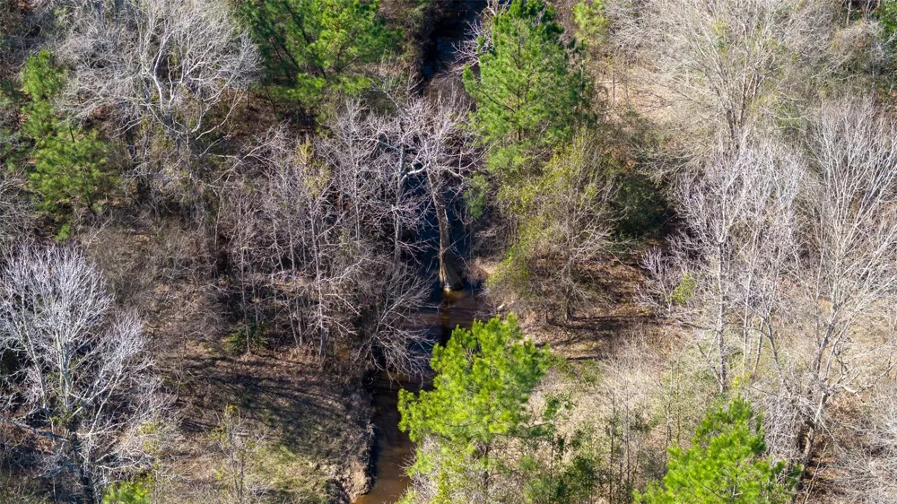 Whispering Pines Drive Lumberton, TX 77657