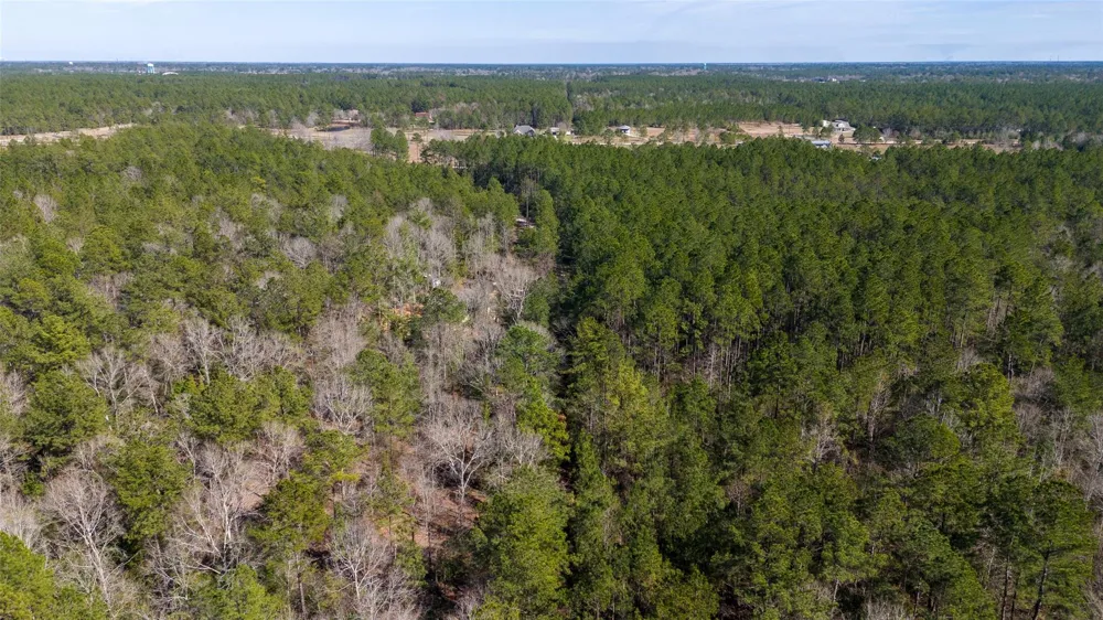Whispering Pines Drive Lumberton, TX 77657