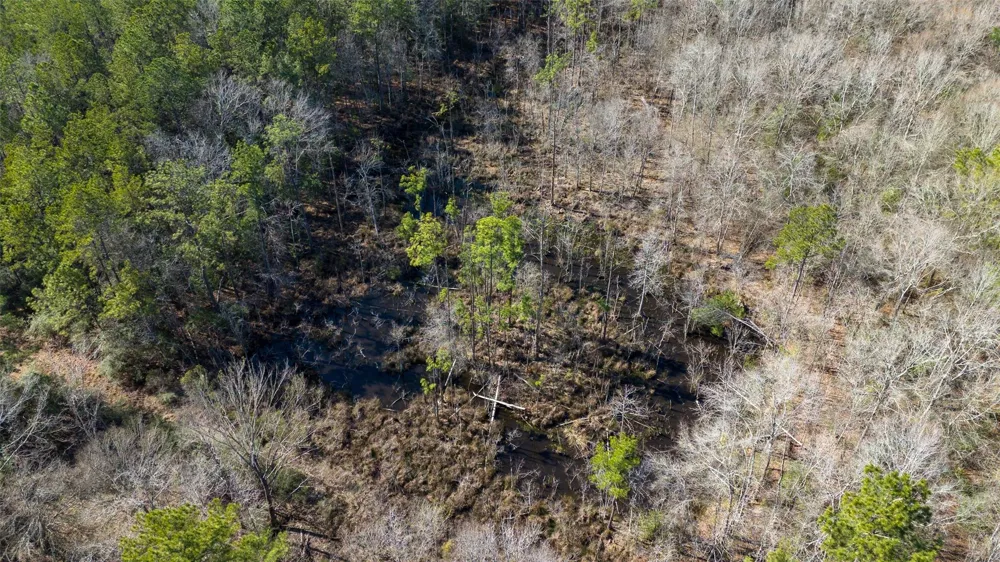 Whispering Pines Drive Lumberton, TX 77657