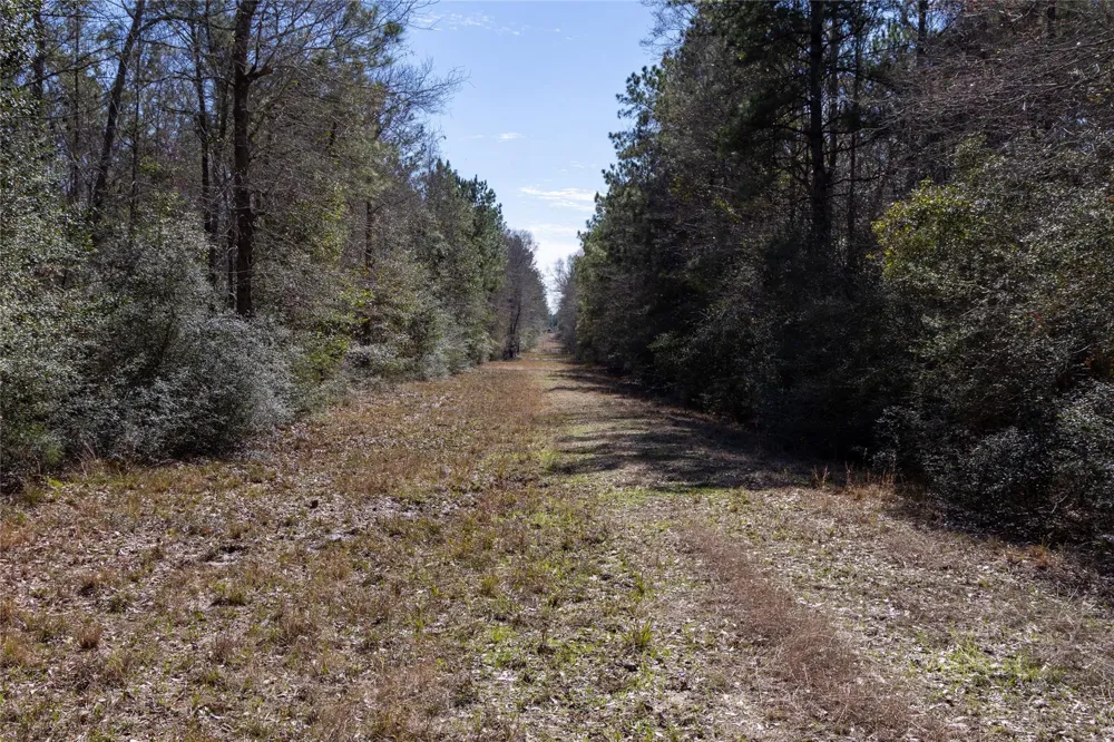 Whispering Pines Drive Lumberton, TX 77657
