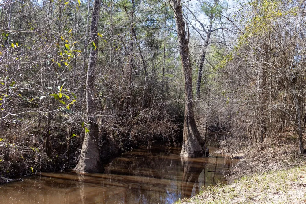 Whispering Pines Drive Lumberton, TX 77657