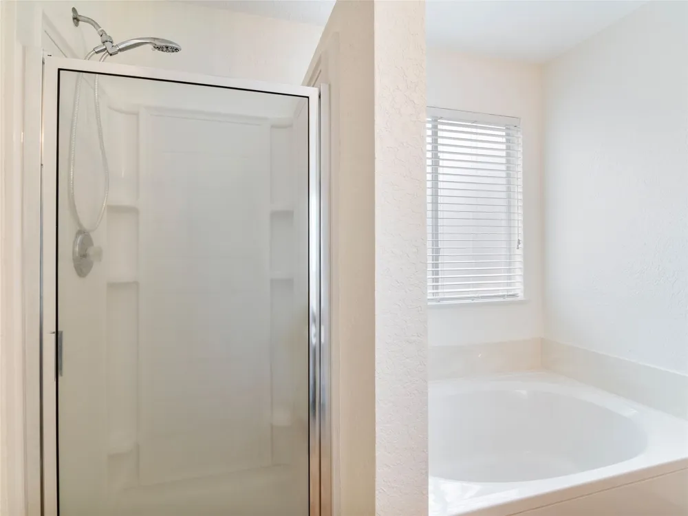 244 Cactus Patch Selma, TX 78154