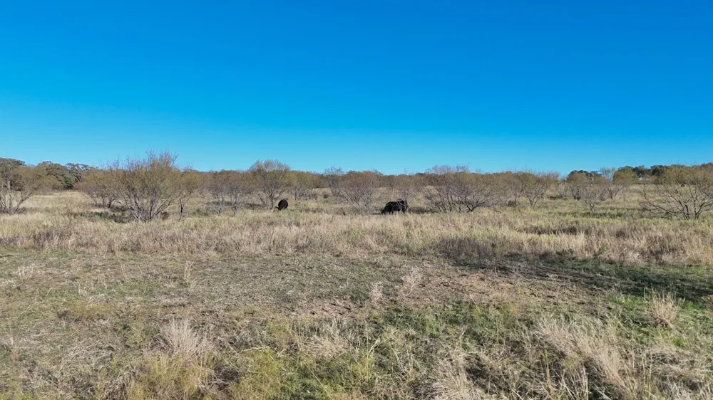 BRAZOS VALLEY LANE Mineral Wells, TX 76068