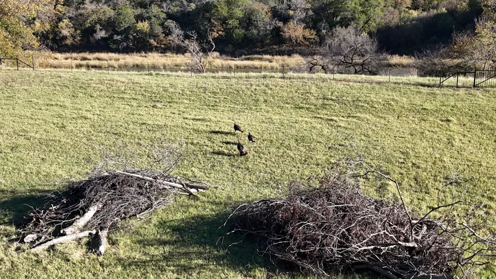 BRAZOS VALLEY LANE Mineral Wells, TX 76068
