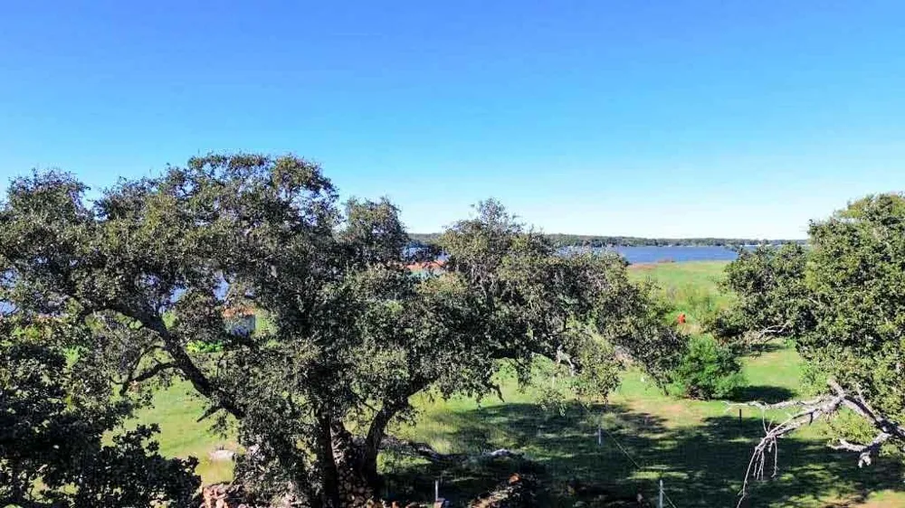 1099 Bull Pen Road Brownwood, TX 76801