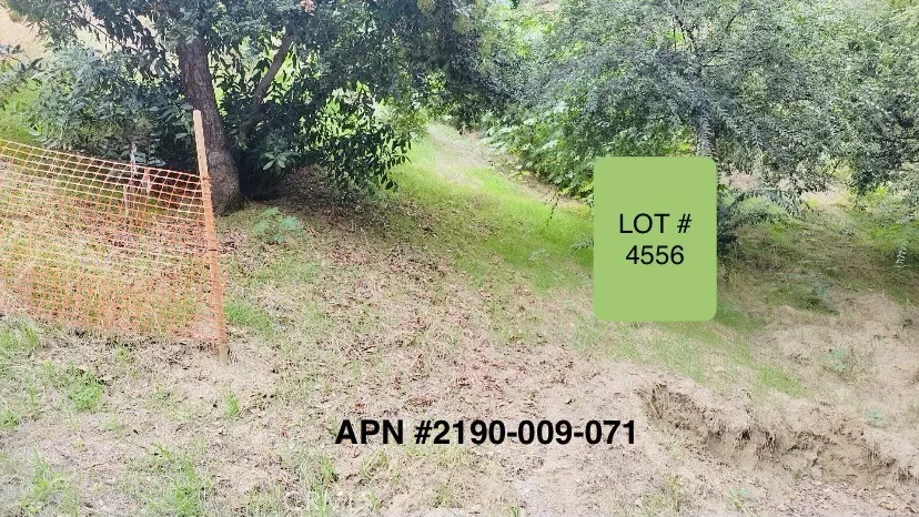 Ensenada Drive Woodland Hills, CA 91364
