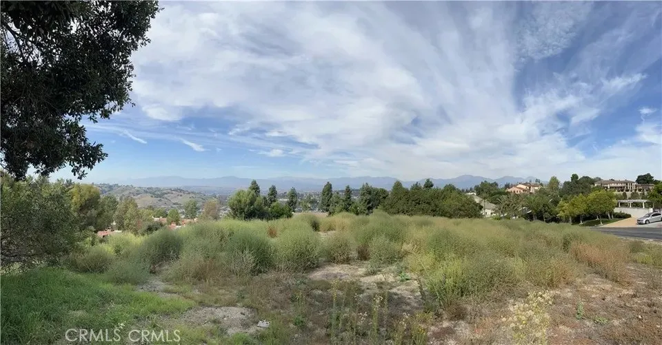 3121 Steeplechase Ln