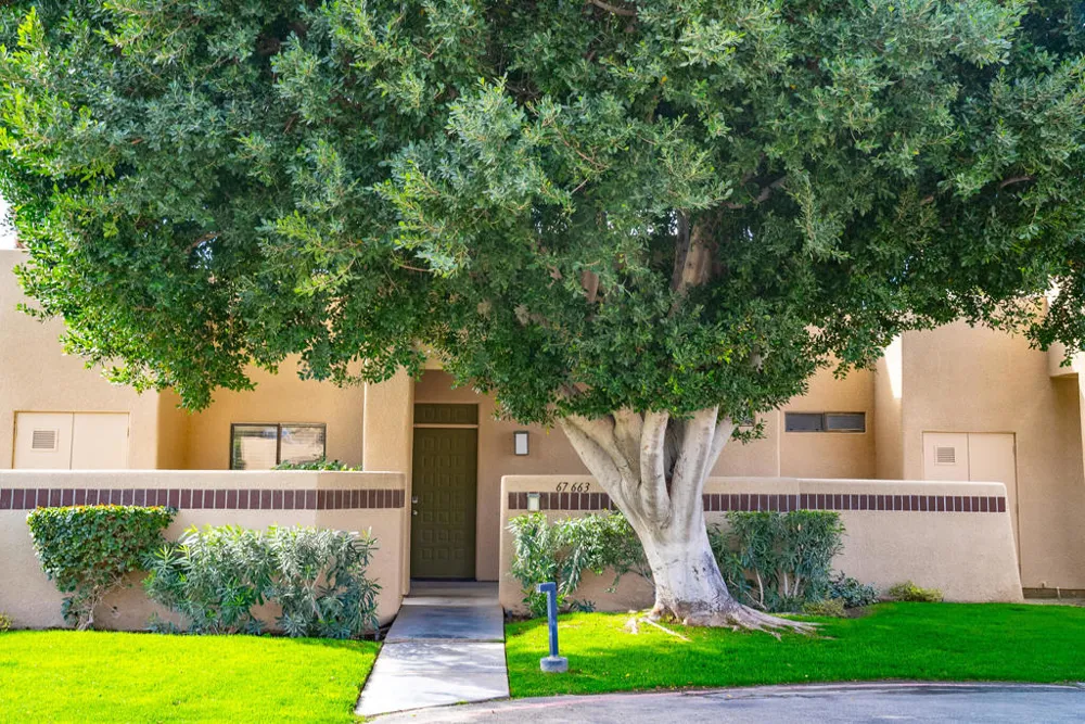 67663 Lagos Way Cathedral City, CA 92234