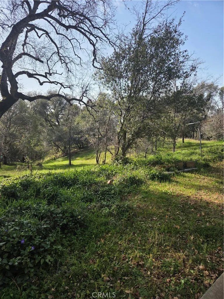 58348 Road 225 North Fork, CA 93643