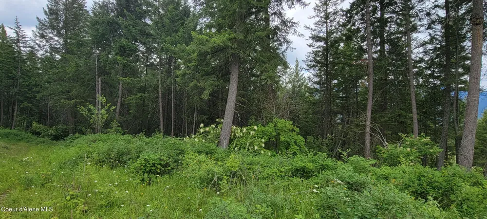 NNA Bootlegger Lane - Stein Mtn Bonners Ferry, ID 83805