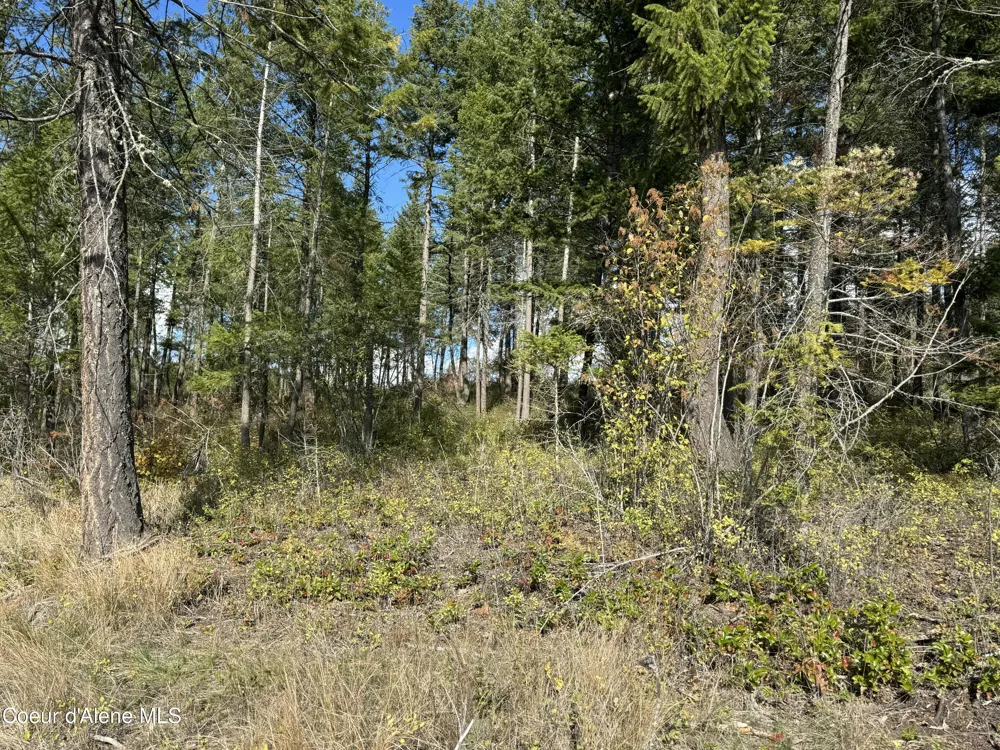 NNA Bootlegger Lane - Stein Mtn Bonners Ferry, ID 83805
