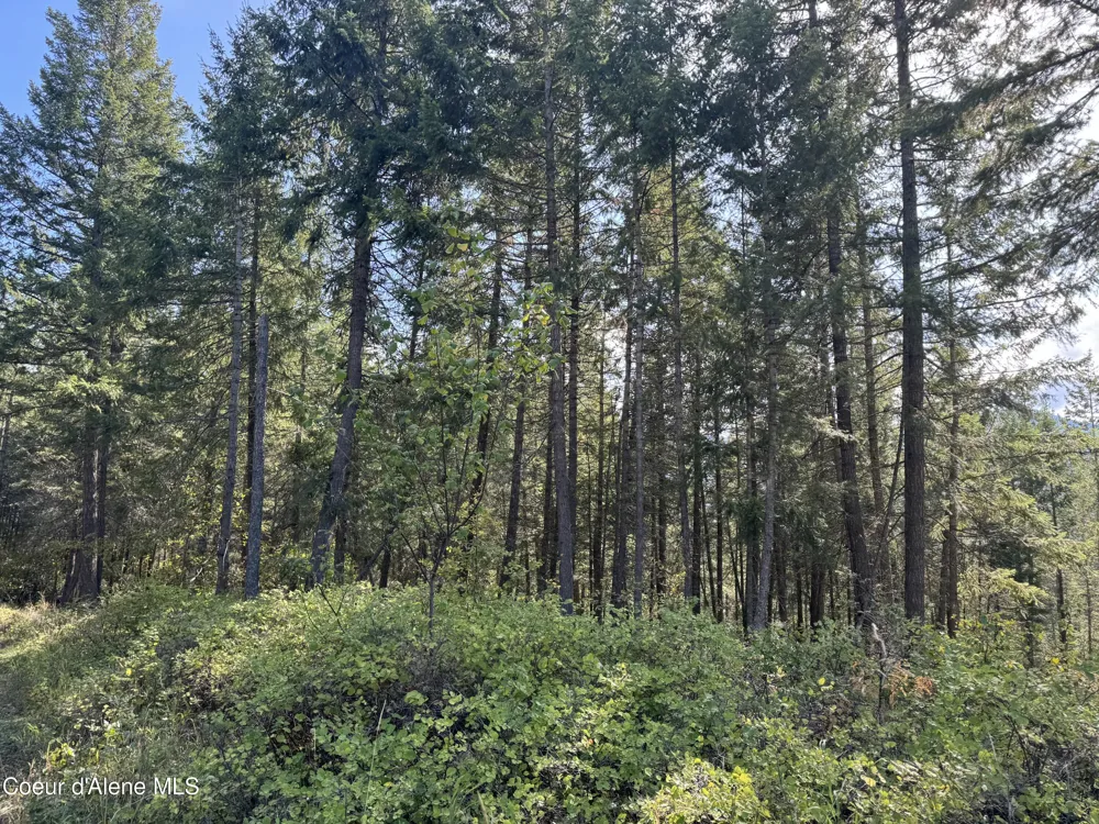 NNA Bootlegger Lane - Stein Mtn Bonners Ferry, ID 83805