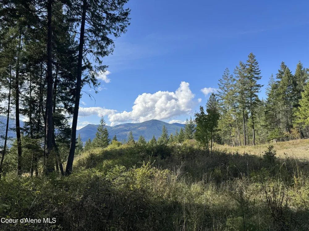 NNA Bootlegger Lane - Stein Mtn Bonners Ferry, ID 83805