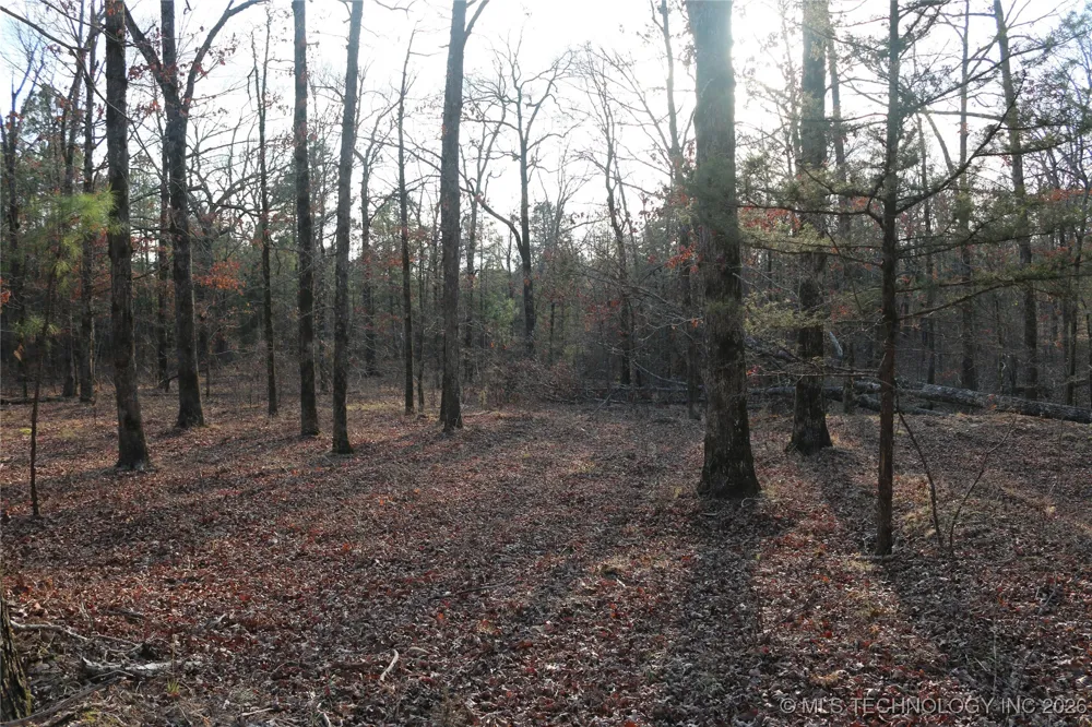 Marsh Loop Loop Smithville, OK 74957