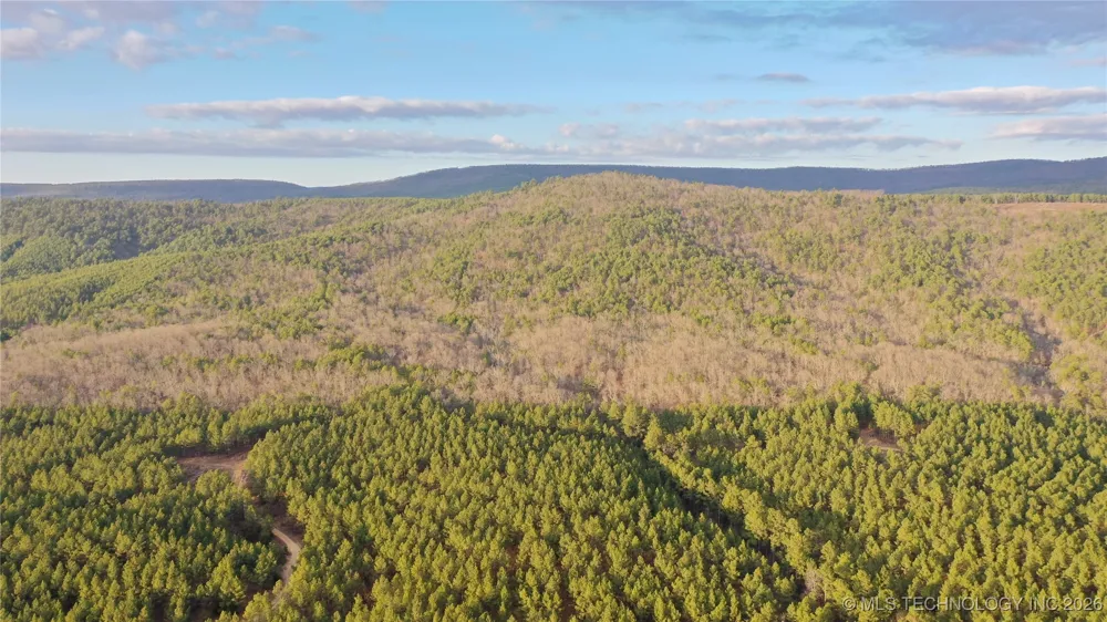 Marsh Loop Loop Smithville, OK 74957