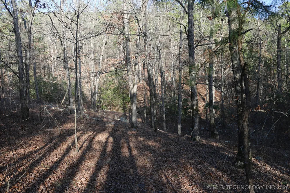 Marsh Loop Loop Smithville, OK 74957