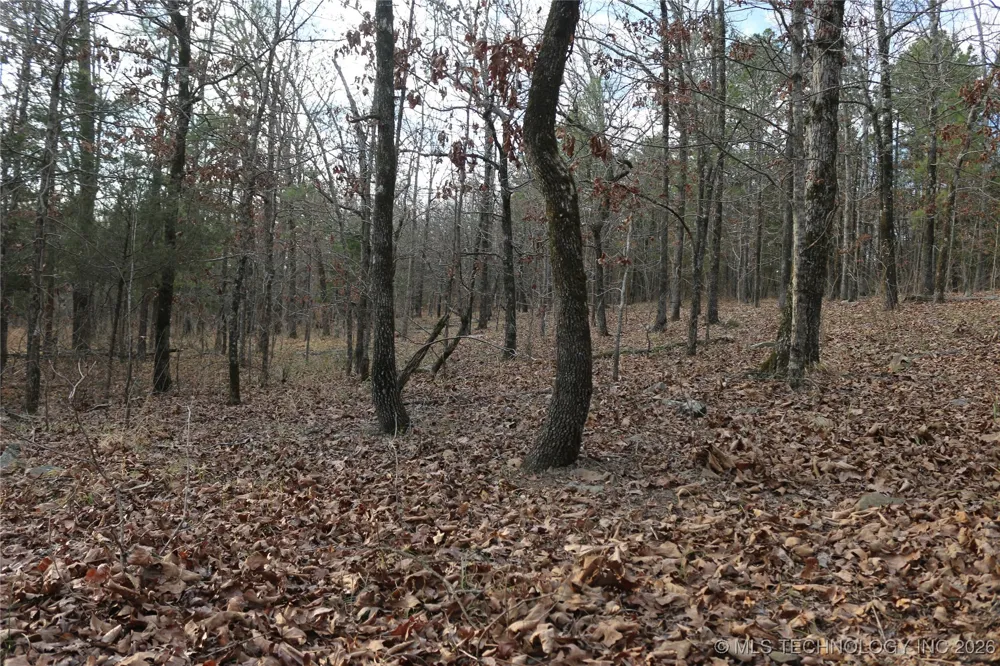 Marsh Loop Loop Smithville, OK 74957